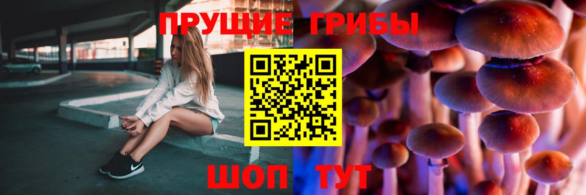 цены   Псилоцибиновые грибы прущие грибы  Вход с VPN  Советская Гавань 
